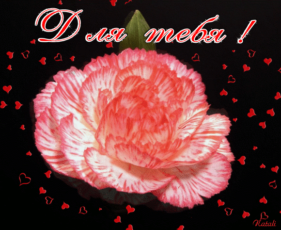 70225354_DLYA_TEBYA_OT_NATALI