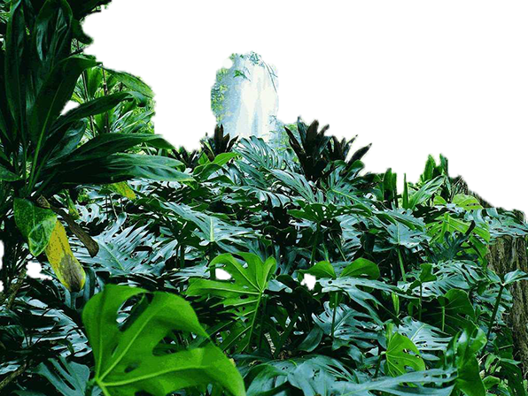 Без имени-1 - копия