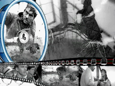 Флешка_на_Летят_журавли.wmv