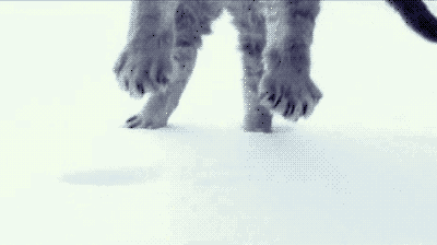 gif-anime-nature-01