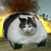 CatTank