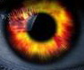 corporacia.ru.0