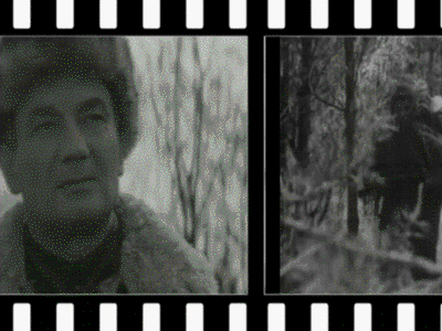 Флешка на Мкдведева кадры.wmv