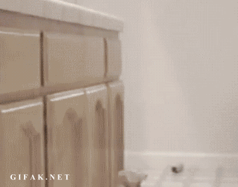 1367398309_1837117907