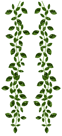 visiacie