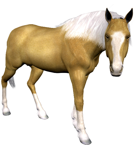 388e1420bd955_yapfiles.ru