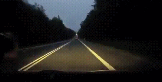 лось