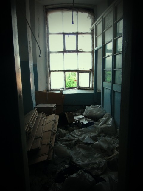 P6010590 - копия