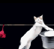 anigif_enhanced-buzz-29651-1370459378-7