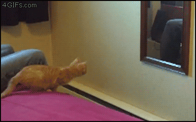 anigif_enhanced-buzz-12922-1369934772-21