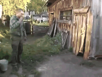 1371011231_1222844842