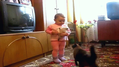 гифки-котэ-Котята-ребенок-739181