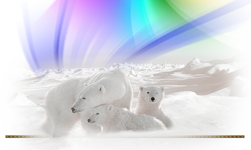 СЕВЕРНОЕ СИЯНИЕ-1