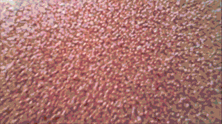 tumblr_molbavM41s1r3gb3zo1_400