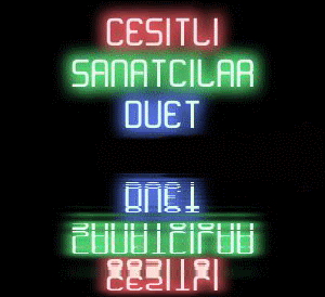 En İyi Albüm Düetleri (2013)