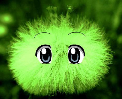 ЗЕЛЁНЫЕ ФОНЫ