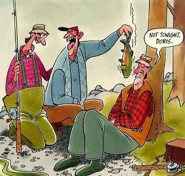 Tuna+Not+tonight_4664883