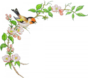 oformlenie-34-300x268