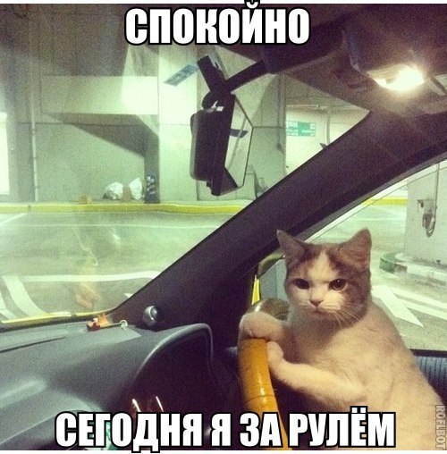 uNDW07NnMCQ