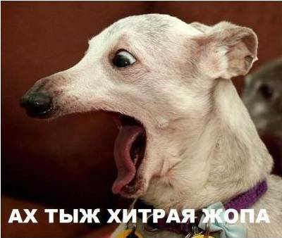 хж