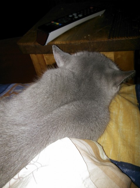 2013-07-11 20.51.42