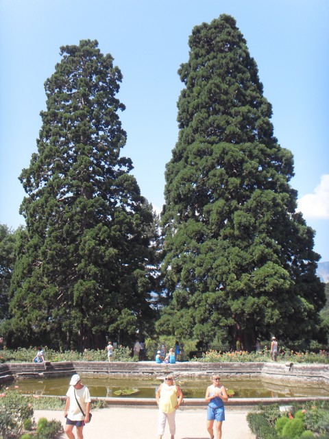 SDC12717