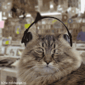 05_madcats_ziza_251963