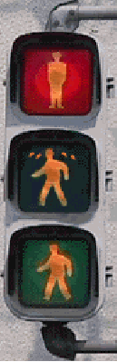 82028147