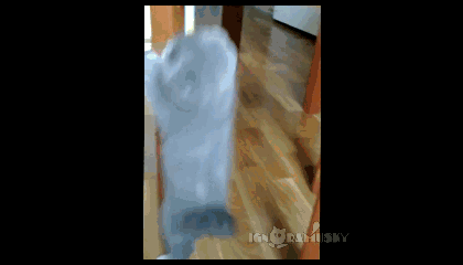 нн