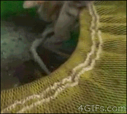 9RNNRJ0