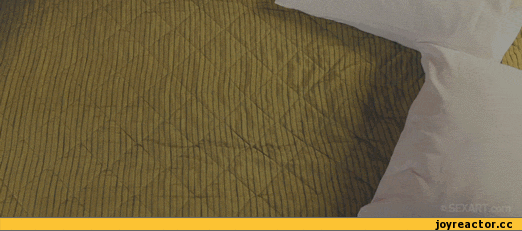 _e31850cb62f3ab0131b949bddbaae6b1