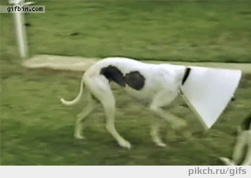gifs_m18kc_w