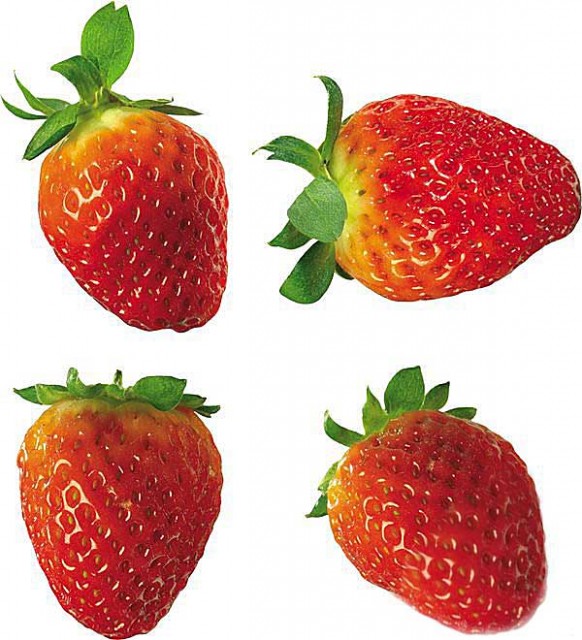 1340608799_weflgs31osdrade