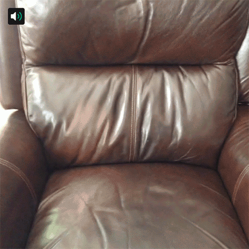 gif-dog-sexy-814742