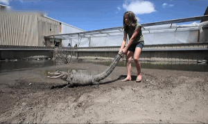 Fungif_05