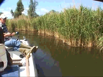 Рыбалка