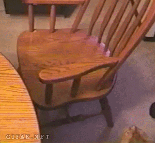 1376410496_1252013916