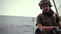 BF3_bugs_in_real_life