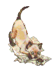 кошки