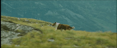 Ljessi.2005.XviD.2