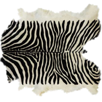 zebra-1333