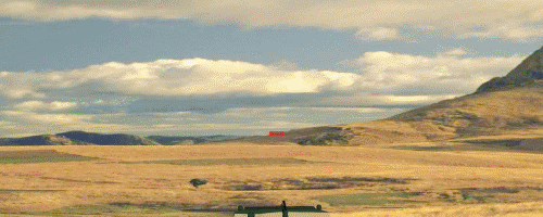 Директриса БМП