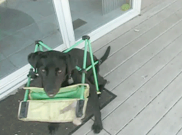 укукуку