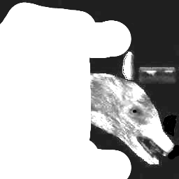 медведь