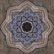 octg16_L