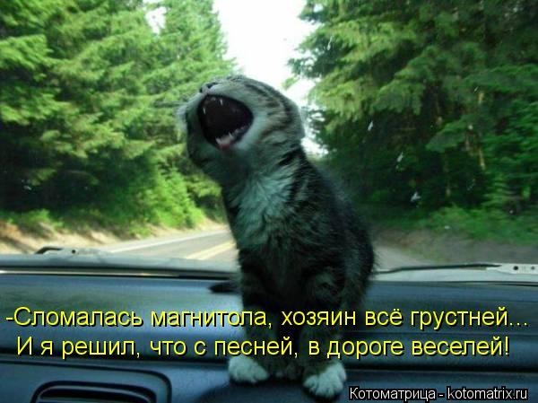 104716794_d2646df7547f73f09298cb41a796bd4d_93906