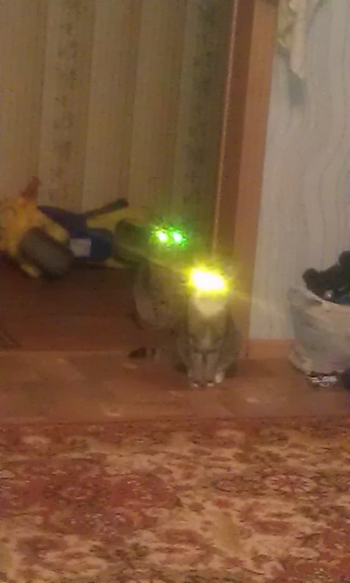 IMAG0141