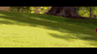 1379142644_1347333182