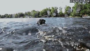 1379701902_438746246