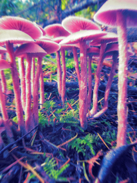 1379959185_539913319